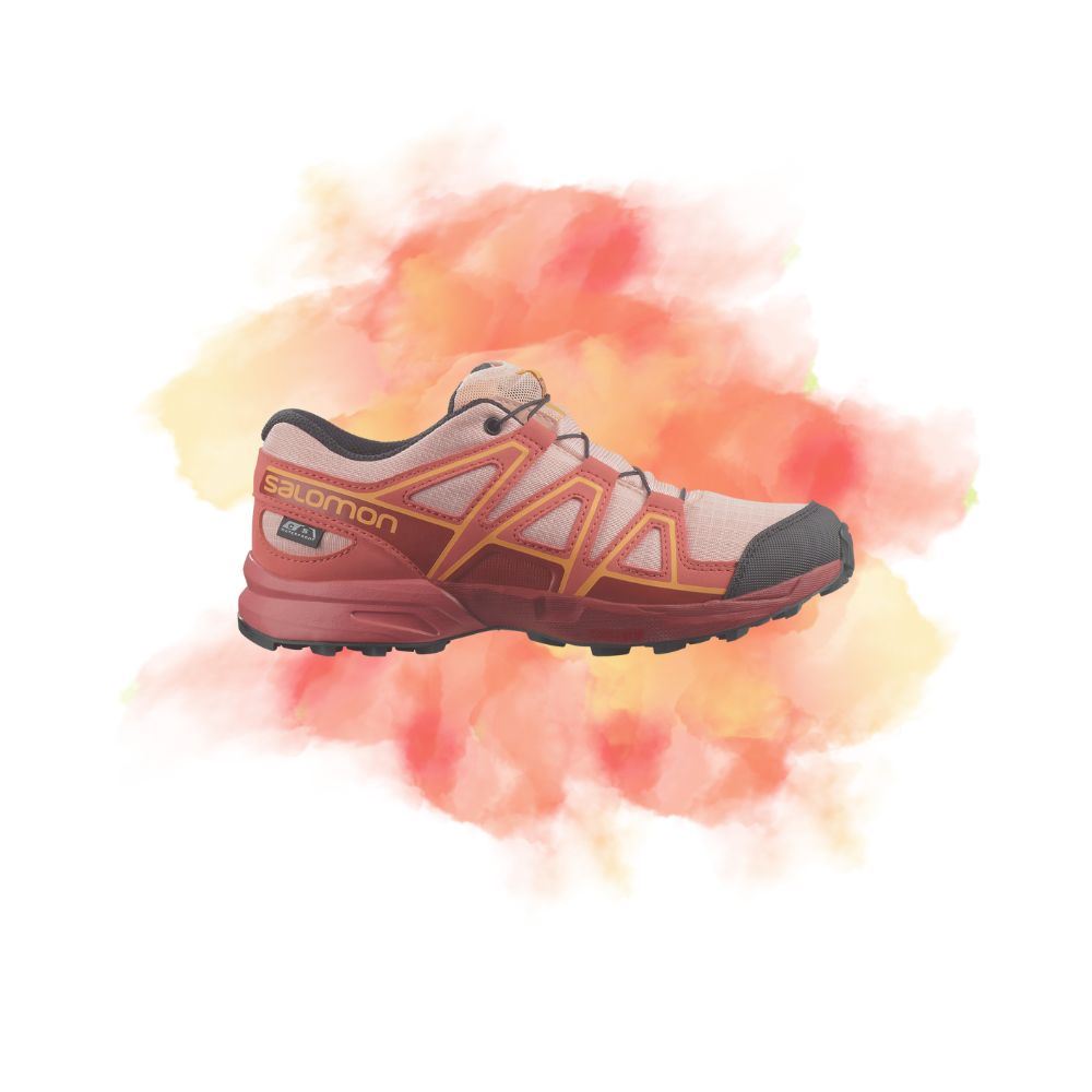 Picture for category Kids Hiking Footwear